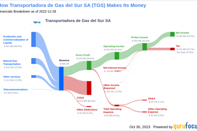 transportadora-de-gas-del-sur-sa-tgs-a-deep-dive-into-its-overvaluation.png