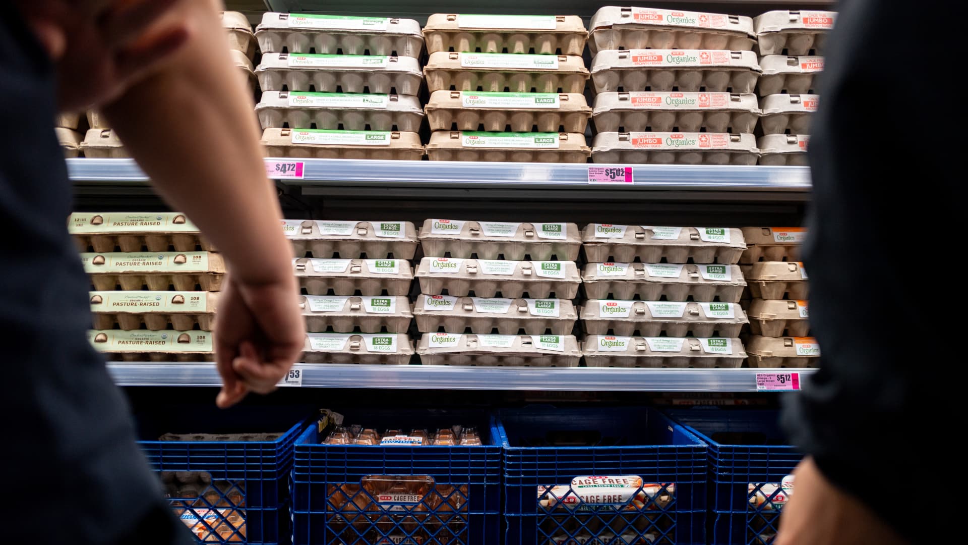 Egg Prices Collapse: Oversupply Squeezes Producers Amidst Rising Costs featured image