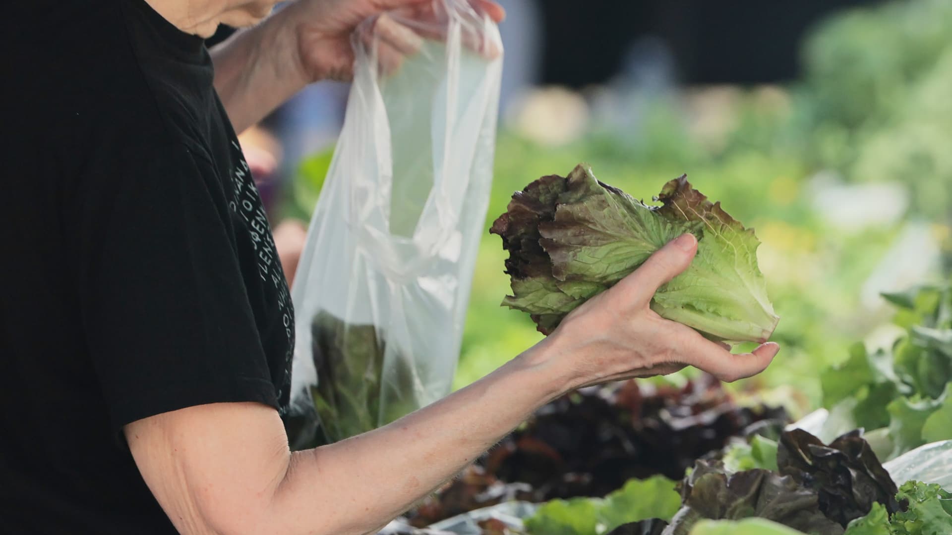 Cyclospora Fears: An Industry Warning on Food Safety and Supply Chains featured image