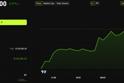 another-year-another-delay-mt-gox-keeps-4-billion-in-bitcoin-off-the-market.png