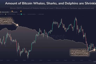 bitcoin-price-repeats-2021-patterns-whales-shark-wallets-on-decline.jpg