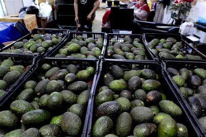 chipotle-downplays-looming-trump-tariffs-says-only-half-of-its-avocados-are-from-mexico-scaled.jpg