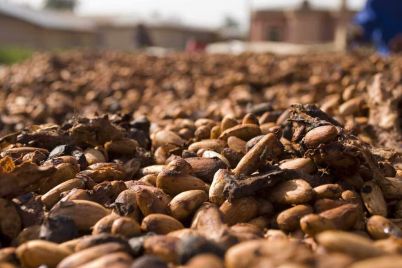 cocoa-prices-fall-on-signs-of-weak-chocolate-demand.jpg