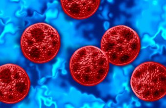 cyclospora-outbreak-warning-michigan-reports-fatalities-food-supply-chain-under-scrutiny.jpg