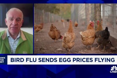egg-prices-are-threatening-a-classic-holiday-tradition-easter-dye-kits.jpg