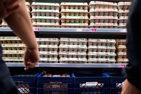 egg-prices-collapse-oversupply-squeezes-producers-amidst-rising-costs.jpg