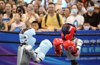 humanoid-robot-ipos-face-stricter-chinese-scrutiny-impacting-asset-valuations.jpg