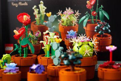 lego-hits-record-revenue-in-first-half-of-2025-boosted-by-brick-flowers-and-cars-scaled.jpg