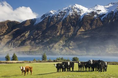 new-zealand-wont-get-rich-by-focusing-trade-in-the-south-pacific-alone-pm-says.jpg