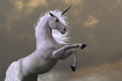 the-unicorn-billions-created-by-silicon-valley-during-the-pandemic-year-of-2020.jpg